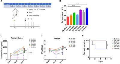 Microwave ablation induces abscopal effect via enhanced systemic antitumor immunity in colorectal cancer